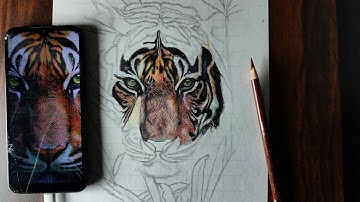 Easy tiger Nose drawing😍 -time lapse // color pencil