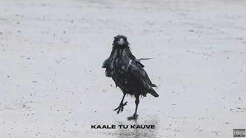 EMIWAY BANTAI - DEPENDENT KAUVE OFFICIAL AUDIO