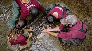 Famous An amazing ecosystem engineer in Southwest Virginia Net Worth