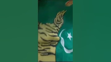 Custom printing To Order 03072359502 #flag#pti#customprinting#printing#customprint#outdoorflag#flags