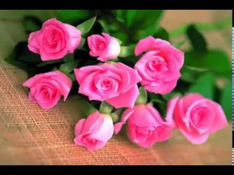 فيروز ياقلبي لاتتعب قلبك مع الكلمات