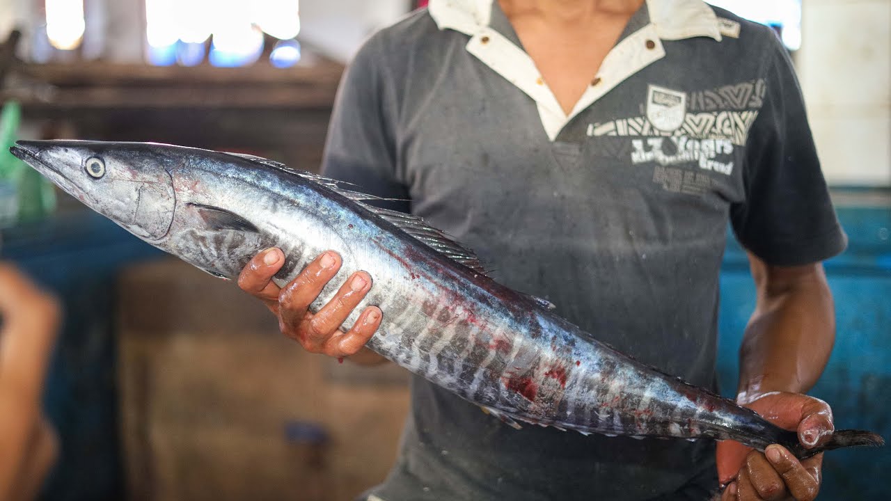 Huge Barracuda Fish Cutting Skills The Best In The World ~CUTTING FISH TV