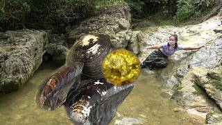 The giant clams in the mountains brought me a surprise! Countless people with pearls are fascinating