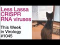 TWiV 1045: Less Lassa, CRISPR RNA viruses