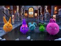 Сонячні зайчики Sunny Bunnies