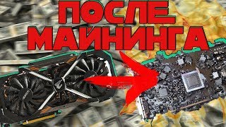 Где купить ВИДЕОКАРТУ? Есть ли жизнь после майнинга? Где купить ВИДЕОКАРТУ? Есть ли жизнь после майнинга?