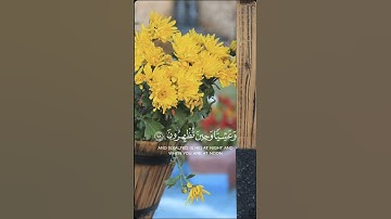 اللهم اجعل القرآن الكريم ربيع قلوبنا ونور صدورنا 🤲💛 #اكسبلور #حالات_واتس #القرآن_الكريم