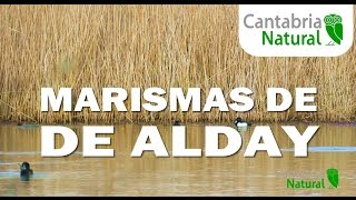 CANTABRIA ESPAÑA 🌳  Marismas de ALDAY | Camargo 🌳 Que ver en Cantabria Natural