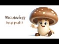 What are Fungi? | Structure, Types &amp; Importance Explained