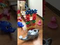MarbleRun♪マーブルラン♫ころころパタパタ🔵🐻&zwj;❄️メカ象さん逃げて!