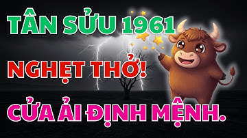 NGHẸT THỞ! Tân Sửu 1961 BƯỚC VÀO CỬA ẢI ĐỊNH MỆNH, NGUY HIỂM CẬN KỀ, LÀNH DỮ KHÓ LƯỜNG.