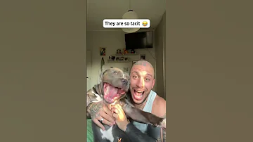 This Made My Day 