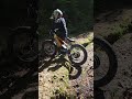#fxb20 #forest #ride with Carlo 🚀🛴
