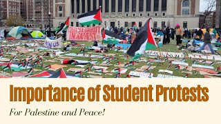 Importance of Pro-Palestine Student Protests