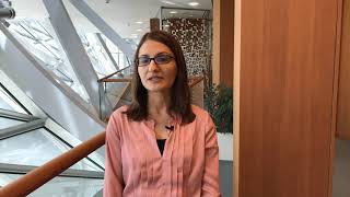 Meet Slavica, Investigator