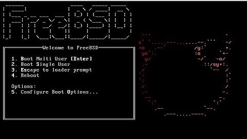 How to Install FreeBSD 11.1 on VMware Workstation | FreeBSD 11.1 Tutorial & Review