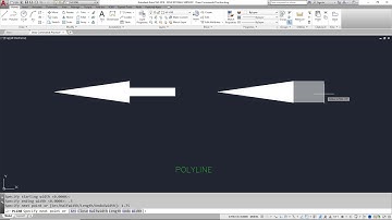 Polylines with widths