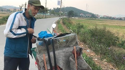 Gặp ngay thợ đánh chuột chuyên nghiệp. Một bẫy vào cả đôi được quá nhiều chuột.