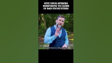 Let your spiders climb in D&D How to kill you players with Giant Spiders Part 2  #dnd #dmtips