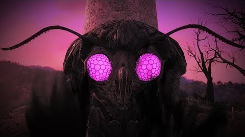 Fallout 76: The Path to Enlightenment