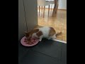 Gugi is HOME!! [STORY BELOW]