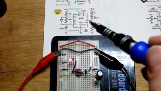 Astable Mode 555 Timer Alternating Red And Blue Leds