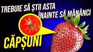 10 Chestii Foarte Importante de Știut înainte să Mănânci CĂPȘUNI