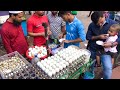 Eating Eggs Boiled । Poultry eggs-Duck eggs-Chicken eggs-Quail eggs | Extreme Egg chickpeas skills |