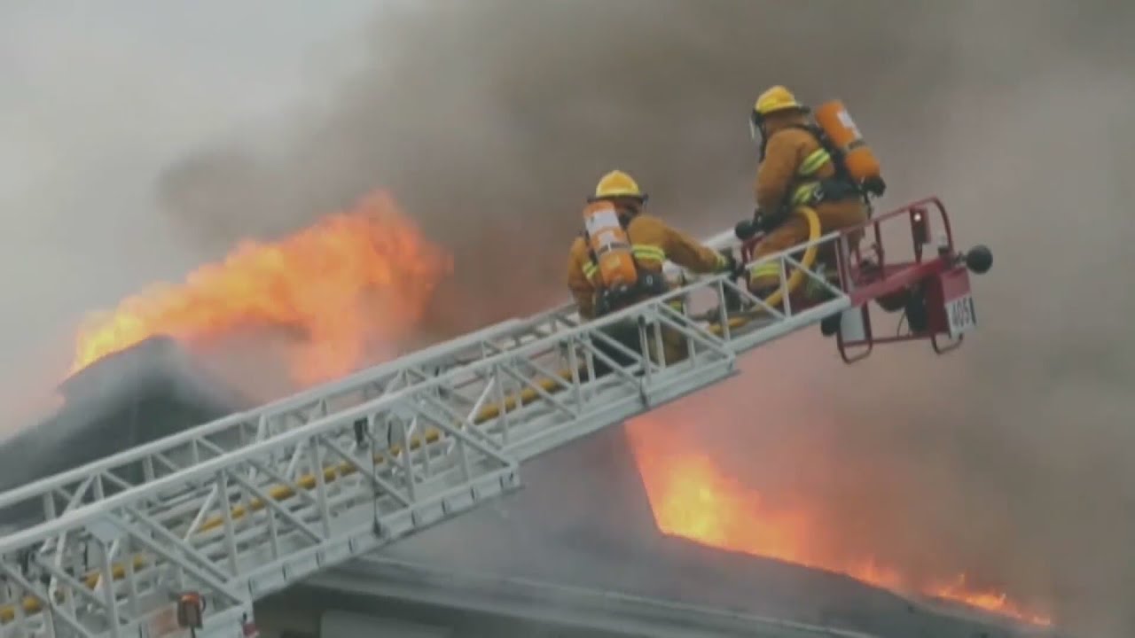 Woman rushes in to save family dog during Aurora house fire - YouTube