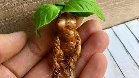 Корень мандрагоры. Мифология