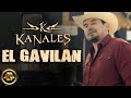 Kanales - El Gavilán (Video Oficial)