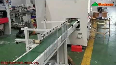 Máy cắt khuyết tật gỗ phấn vạch tự động Woodmaster