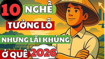 10 Nghề Tưởng Lỗ Nhưng Lãi Khủng Ở Quê Năm 2026 | Chạm Đến Thành Công