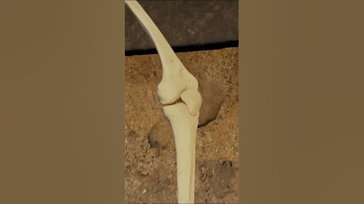 Human remains found buried under Easter Island statues | Unearthed | Science Channel