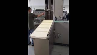 Pujolas ECA 360 Muscle Stuffer by M&M Equipment Corp.