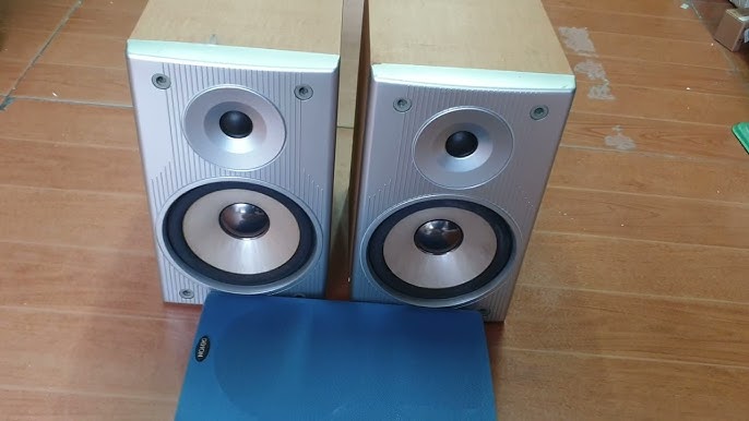 4. Hướng Dẫn Mua Sắm và Lựa Chọn Loa