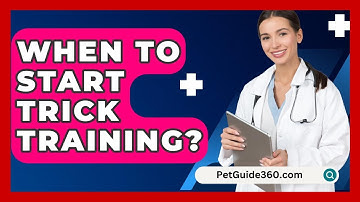 When To Start Trick Training? - PetGuide360.com