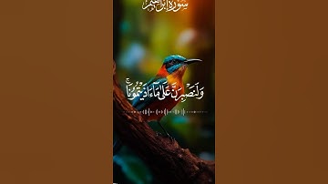 آيات من القرآن الكريم 💞 سورة ابراهيم 💞 الآية 12
