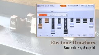 Something Stupid | Yamaha Electone ELS-02C Drawbars