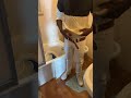 #comedy #highlights