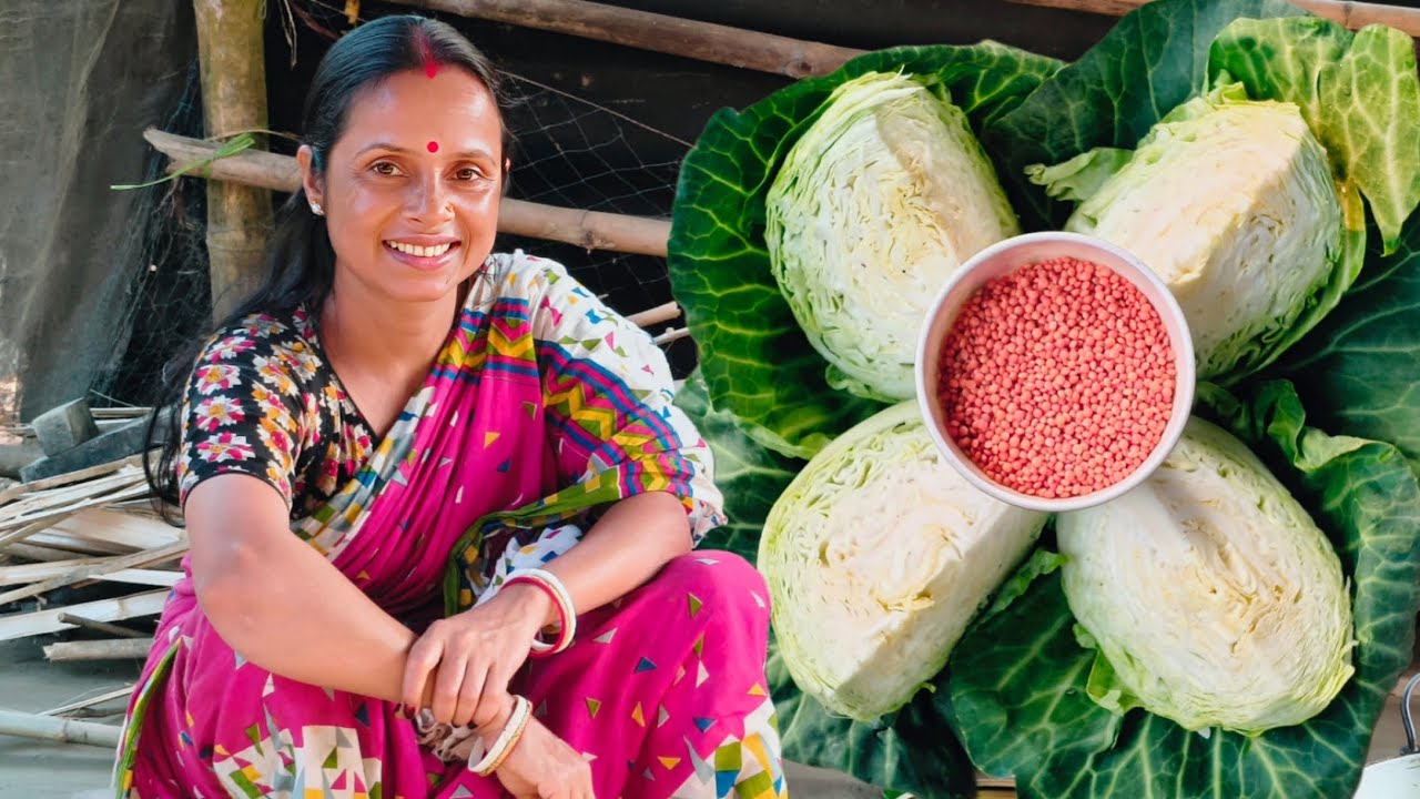মুশুর ডাল দিয়ে বাঁধাকপির এই রান্না খেতে দারুন লাগে | badhakopi recipe in bengali