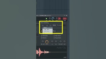 BPM & Pitch Adjust in FL Studio 21 Hindi Tutorial #flstudio #music #producer
