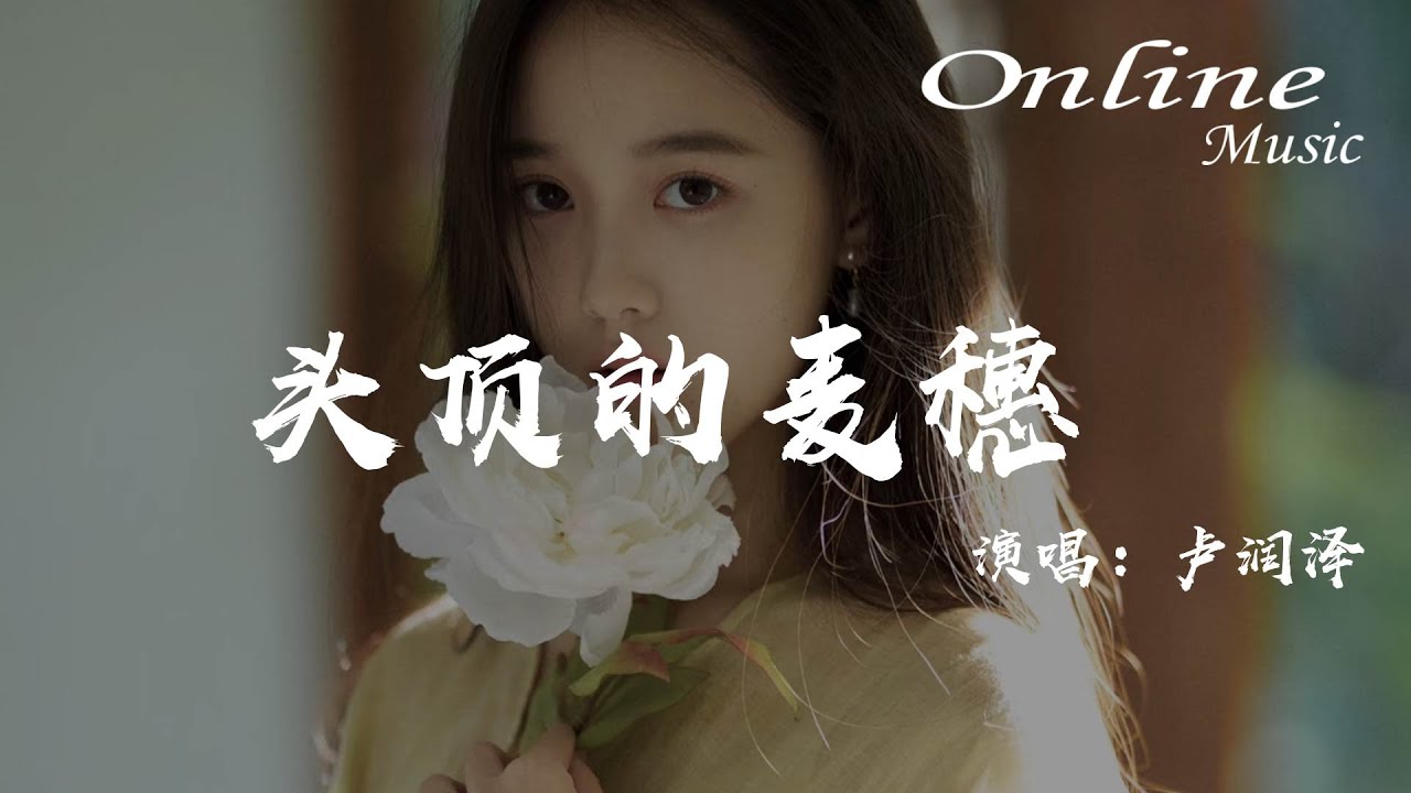 頭頂的麥穗 - 盧潤澤『我翻過了那片泥濘,身後麥浪一望無際』