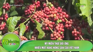 Mỹ miễn thuế đối ứng nhiều mặt hàng nông sản của Việt Nam
