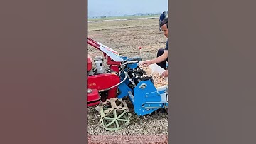 Garlic Planting with a Semi-Automatic Machine: Farmer Assists the Process