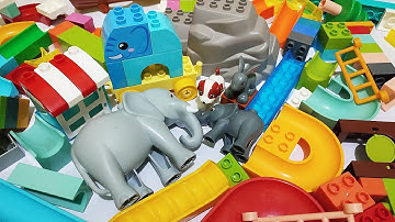 Satisfying Building Blocks Marble Run ASMR Block Couster Course of elephants and funny animals