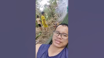 Lấy củi chuẩn bị cho bữa ăn // tại trang trại gia đình - xin mời cả nhà - tronpiu vlog #shorts