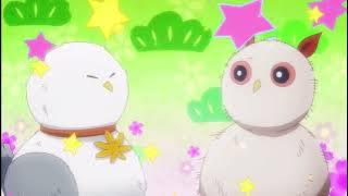 Kai Byoui Ramune | Opening〈 SHAKE! SHAKE! SHAKE! 〉by Yuma Uchida