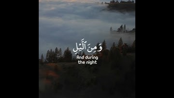 #اسلام_صبحي #سورة_الانسان ❤️ #قران_كريم 🎧 #قرآن🍃 #تلاوة_خاشعة