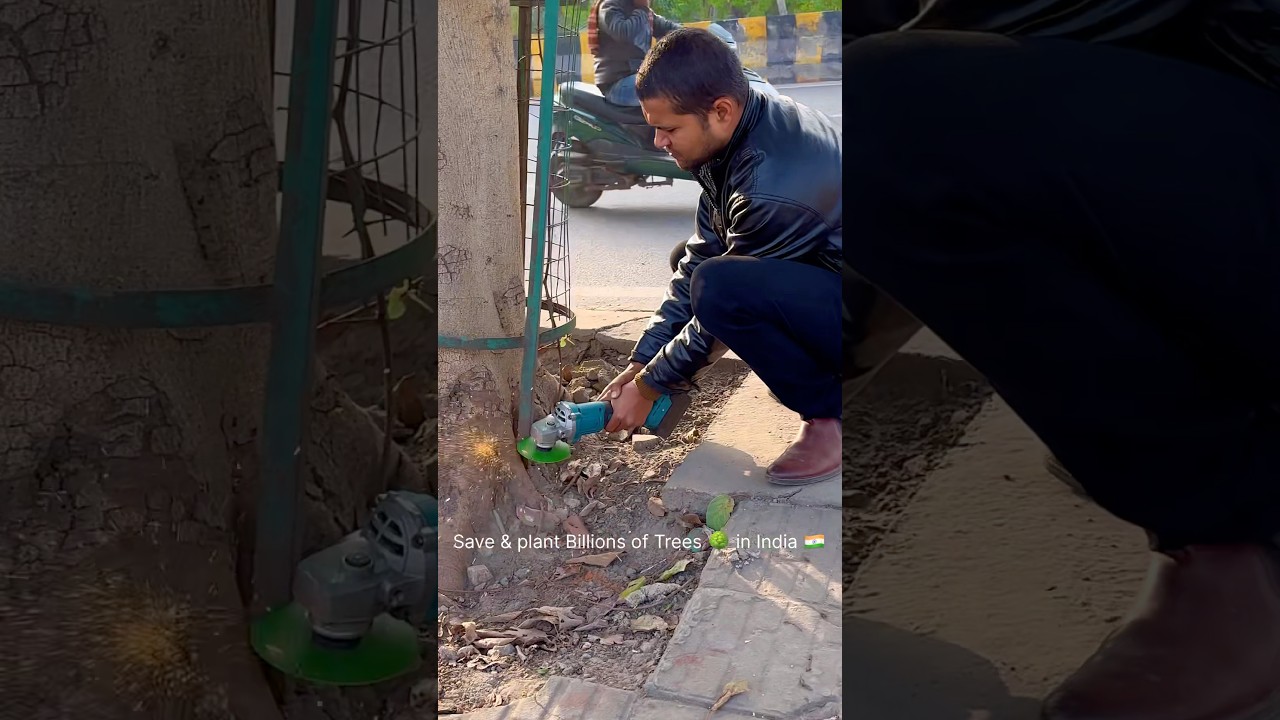 Save & plant Billions of Trees 🌳 in India - Trees plants info 